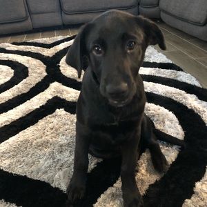 Meet your Posher, Cristina